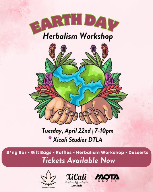 Feminism Herbalism Workshop
